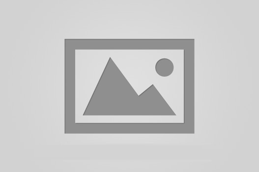 Vivenciando a Universidade: visita monitorada da Escola bsica ao IEX/Unifesspa