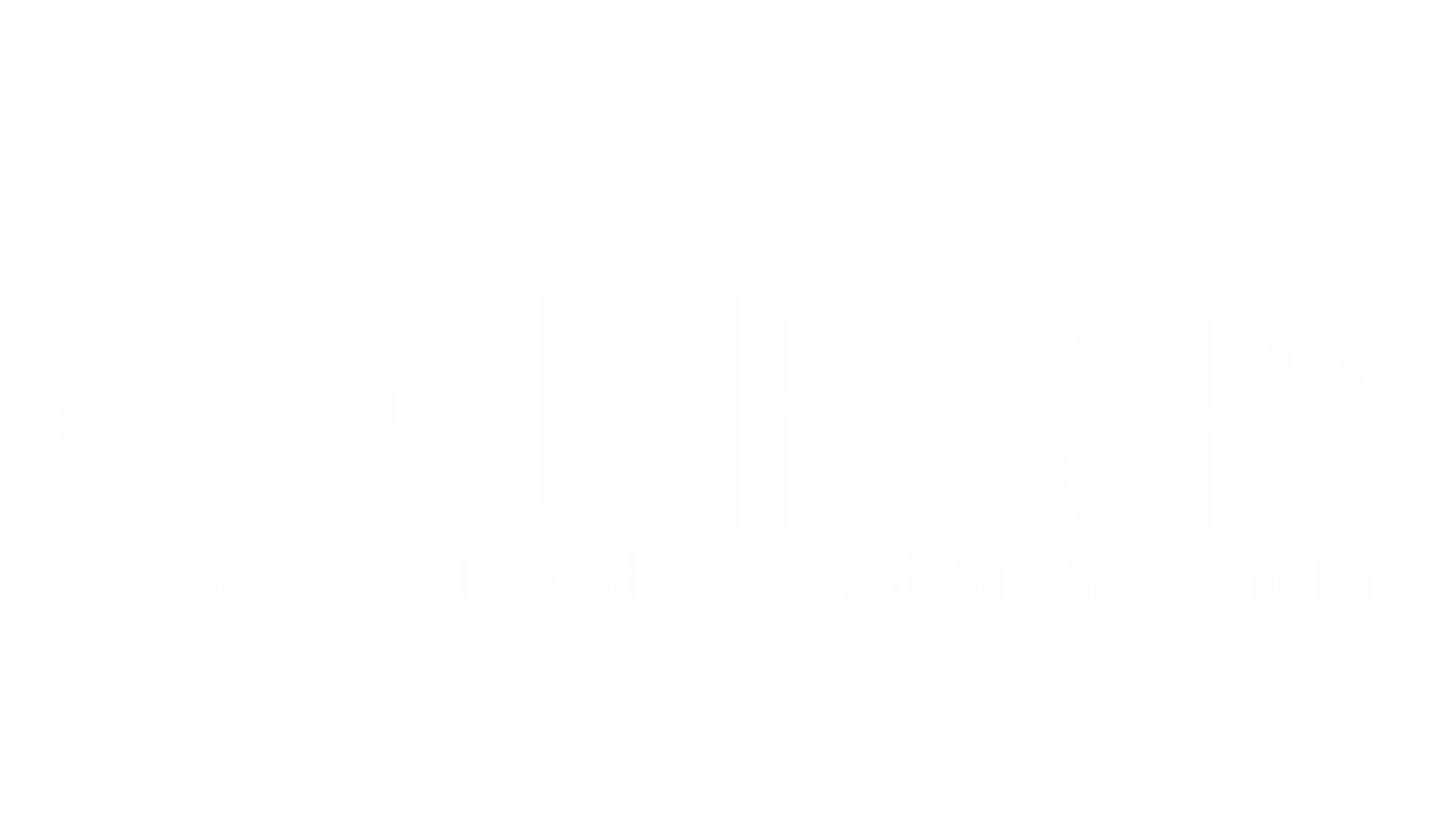 01UNIFESSPA